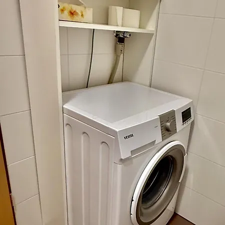 Sunflower 모라브스케토플리체