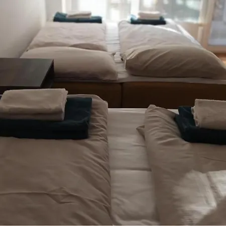 Sunflower * 모라브스케토플리체