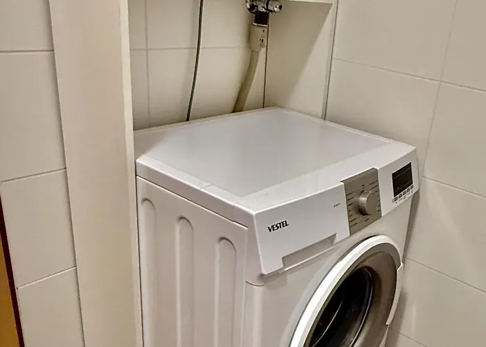 Sunflower Moravske Toplice