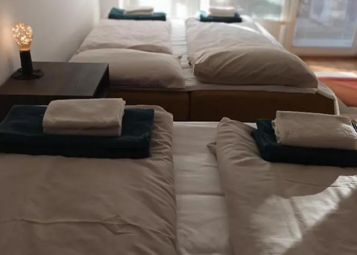 Sunflower * Moravske-Toplice