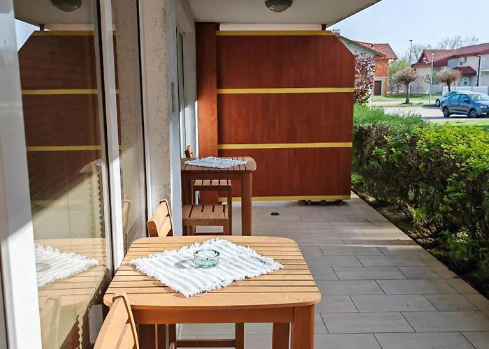 Sunflower * Moravske Toplice